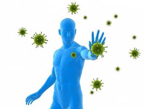 Il ruolo del sistema immunitario