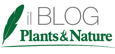 Plants & Nature – Blog